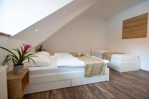 Guesthouse Stari Mayr