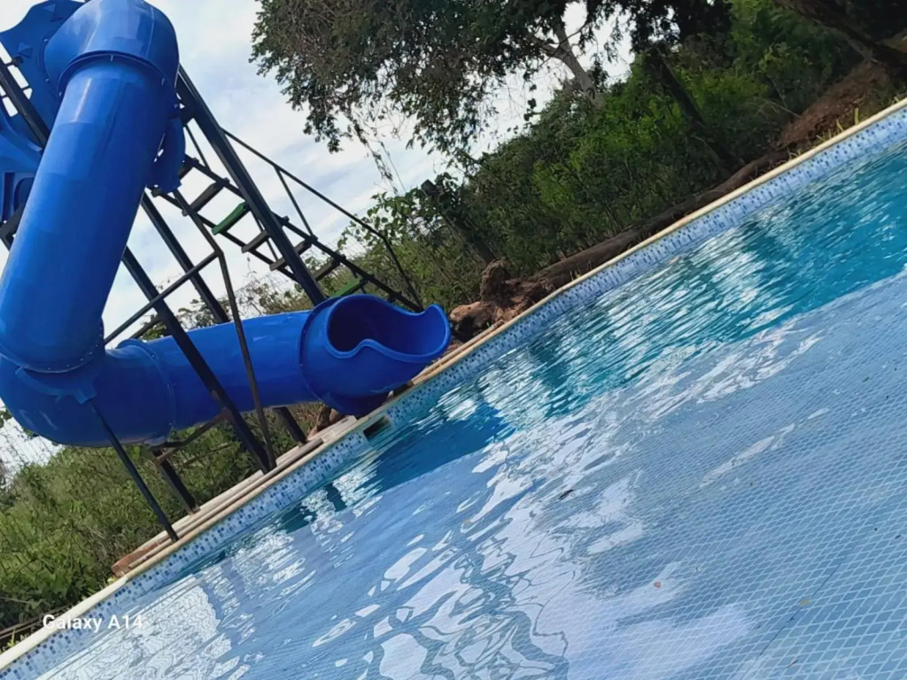 Piracuacito