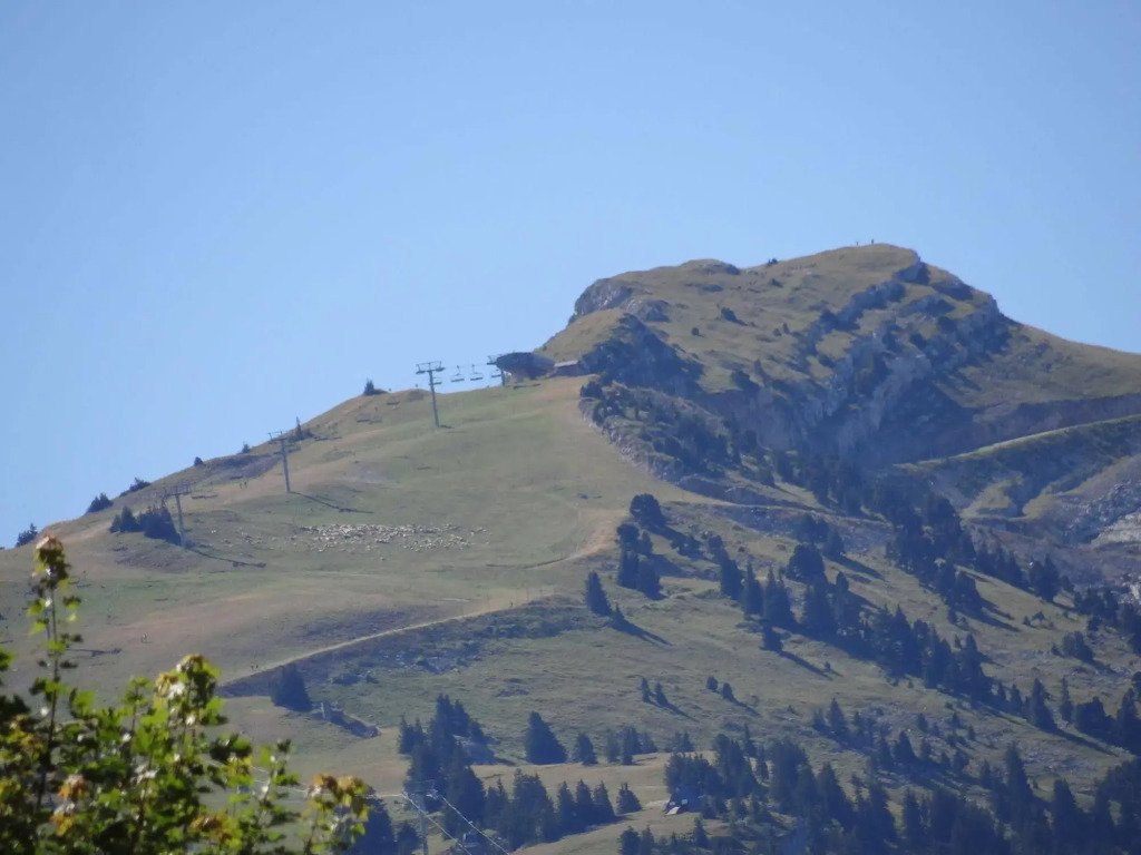 Hotel Le Dauphin