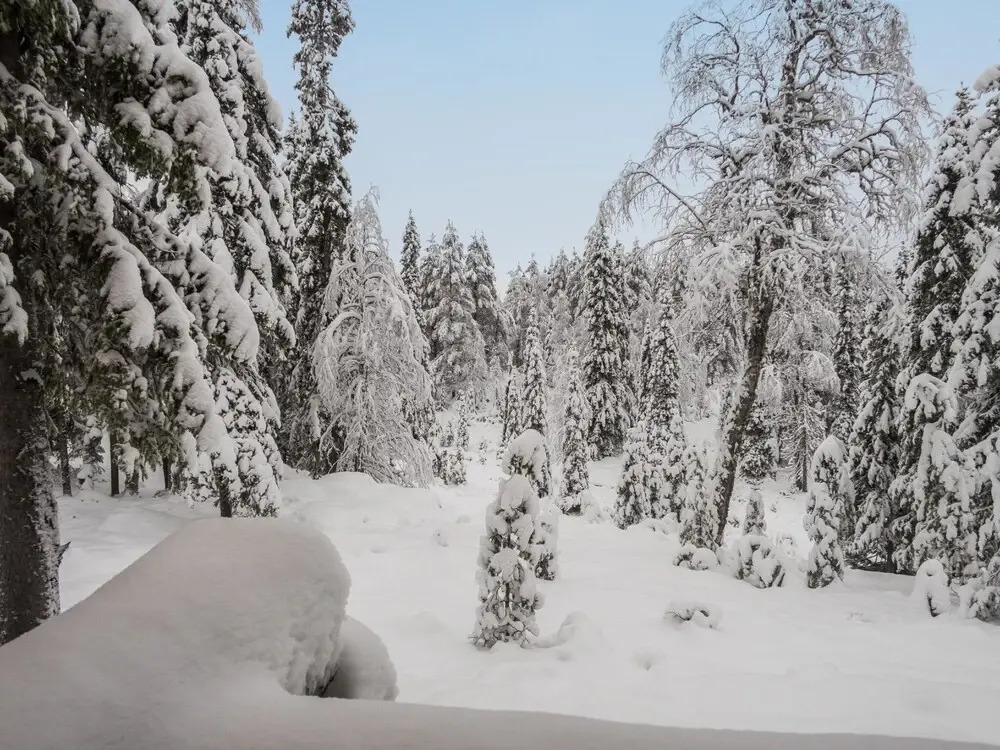 Ruka-rokova 2 Kuusamo