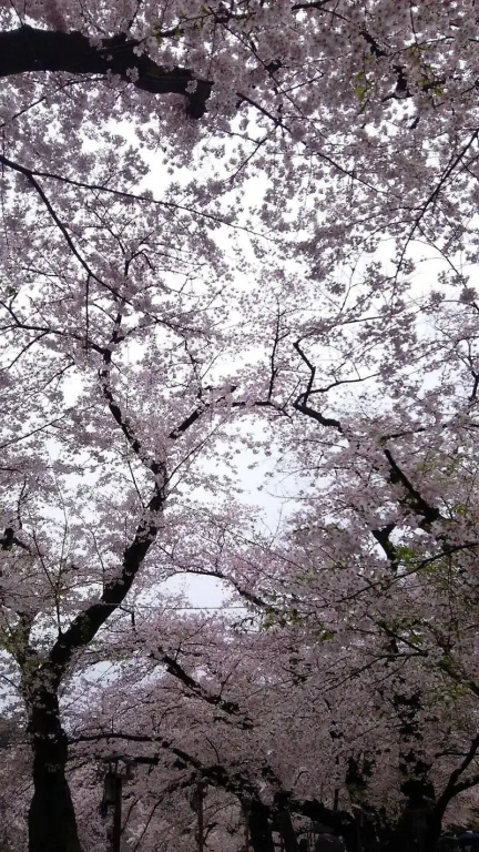 Отель Sotetsu Fresa Inn Ochanomizu Jimbocho