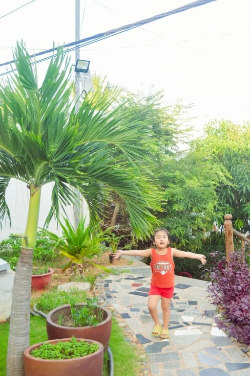 Đồi Dừa Homestay