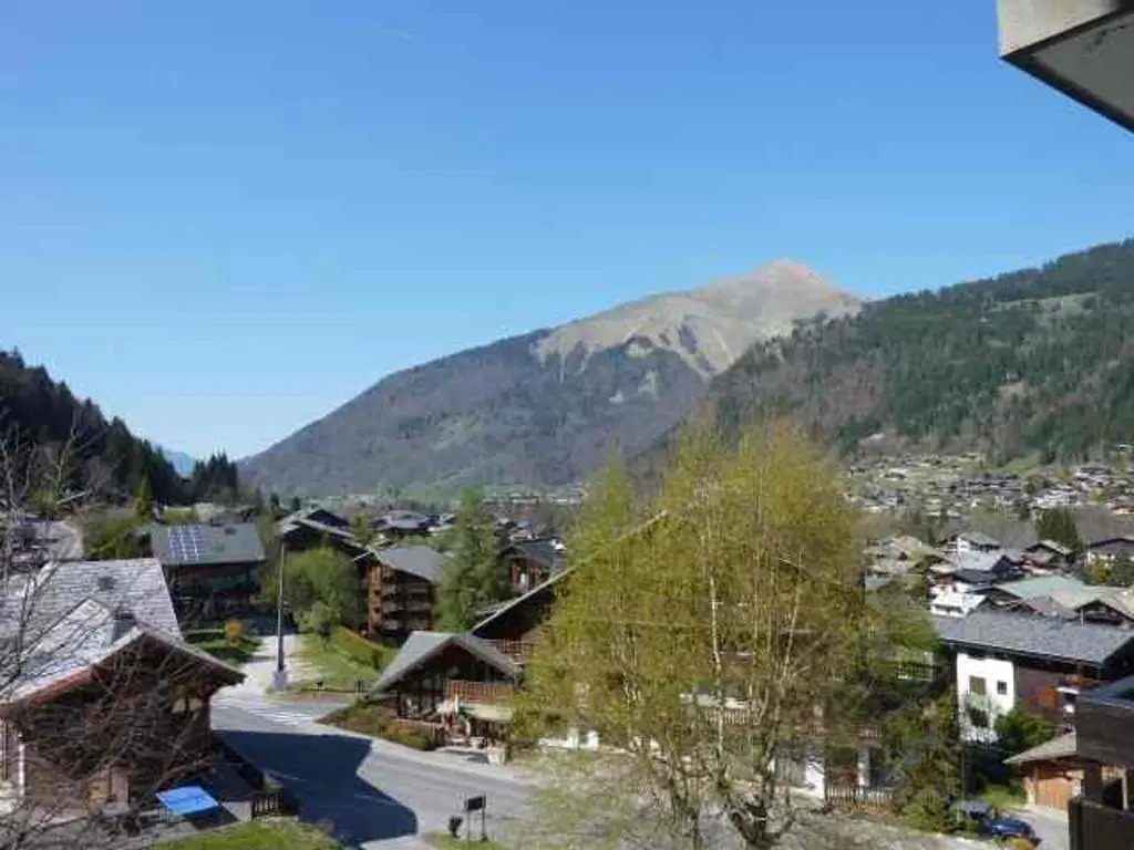 Appartement Morzine, 2 pièces, 6 personnes - FR-1-524-20