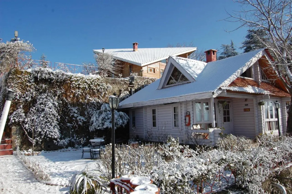 The Chalets Naldehra