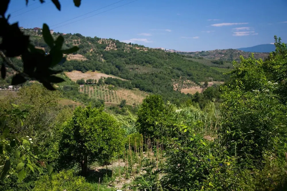 I Tre Tigli - Casa di campagna