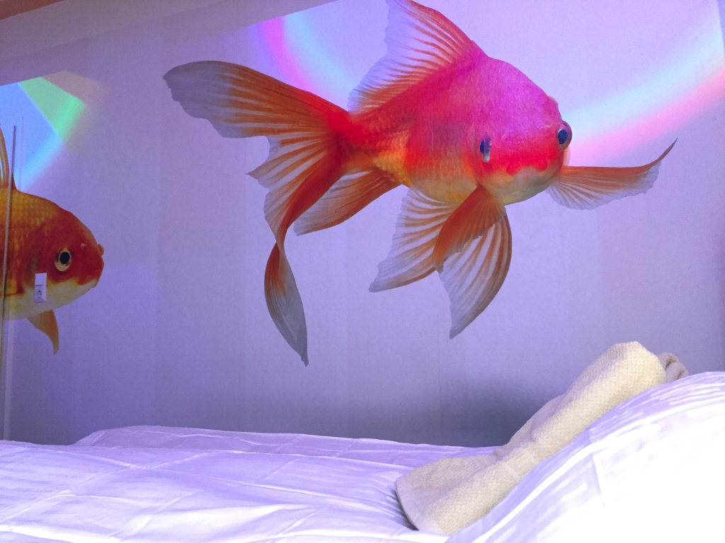 The Room 44