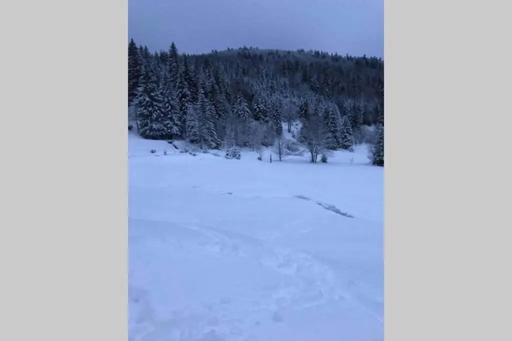 Bel appartement neuf équipé au pied des pistes