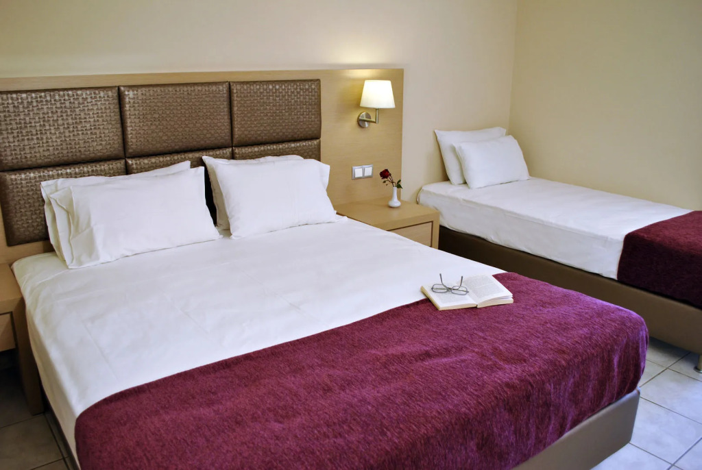 Hotel Plessas Palace