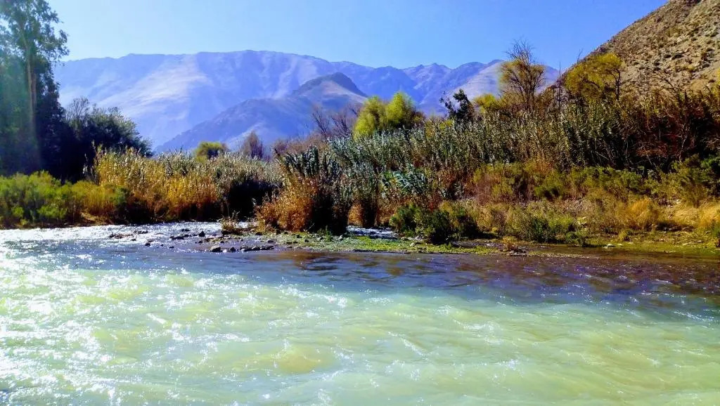 Astro Camping Elqui Experience