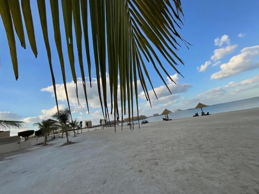 Luxury casino & beach studio