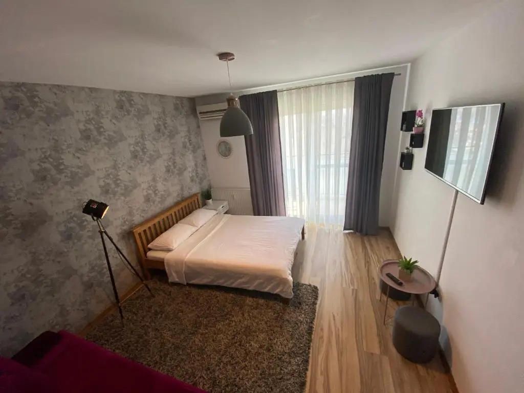 Oradea Gray Apartment