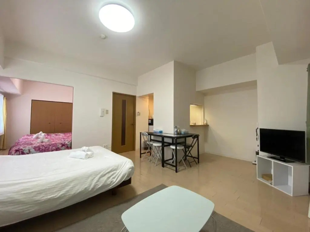 Downtown area Spacious cozy room Susukino IK301