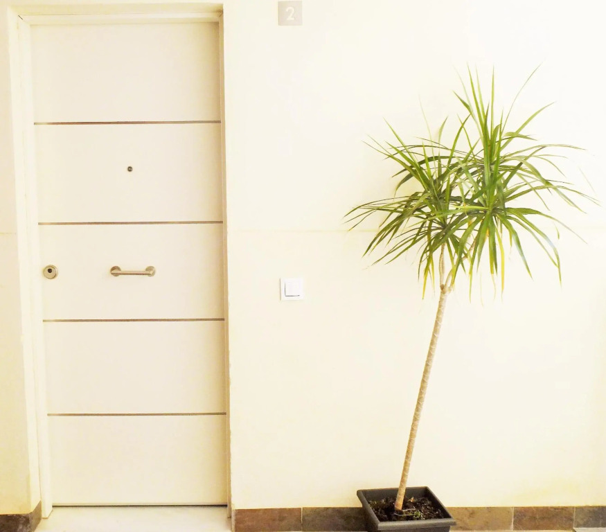 Apartamentos Nazareno