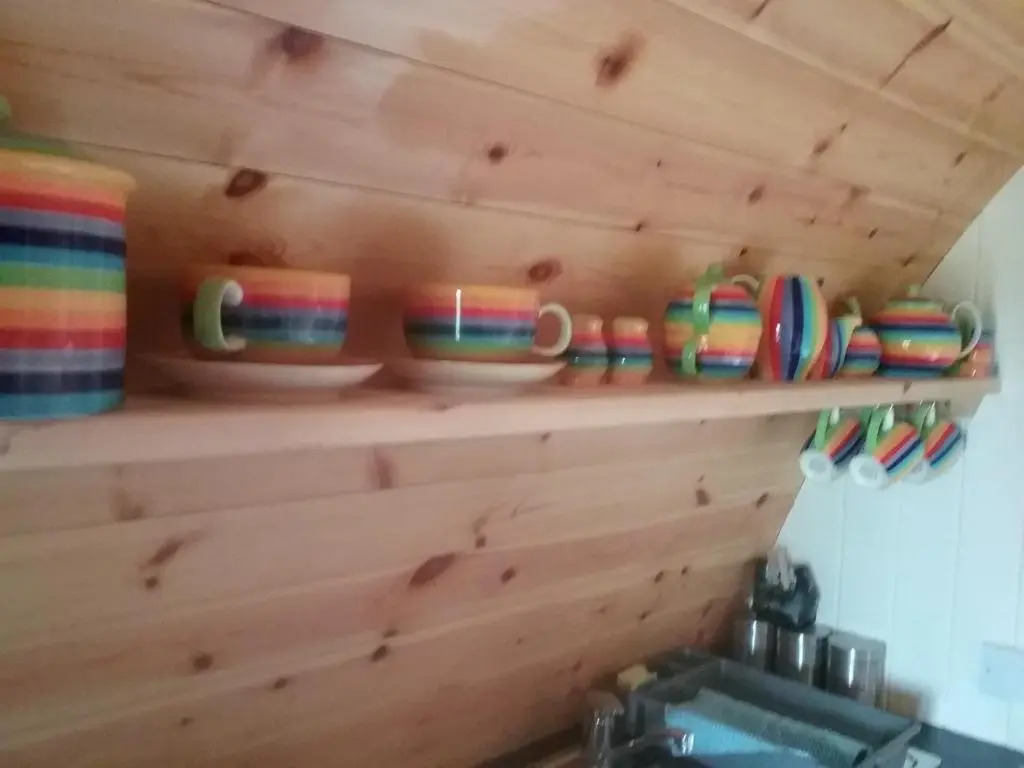 The Rainbow POD