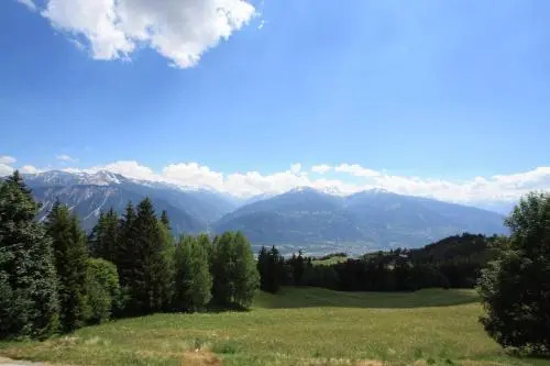 Clairière des Barzettes