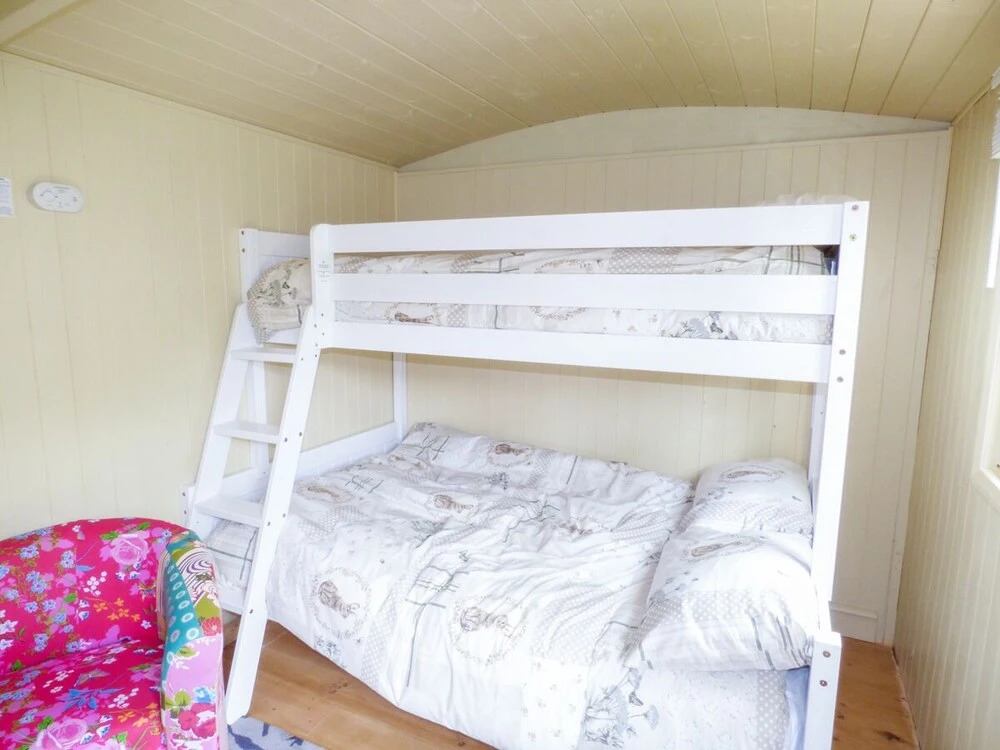 Joseph's Hide