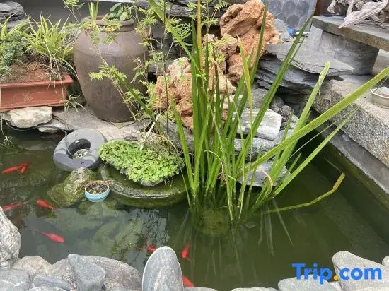 Michuan Homestay