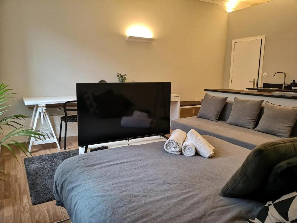 Baixa24 •P1R• Brand New Apt in the Historic Center