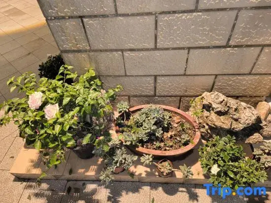 Shu • Su Homestay (Hongshan Lake Anshun Ancient City Historical and Cultural Street)