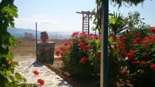 Anatoli Studios
