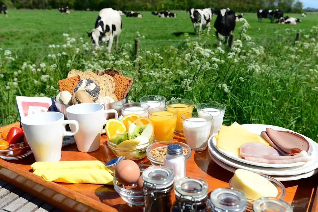 Bed & Bos de 14 Sterren
