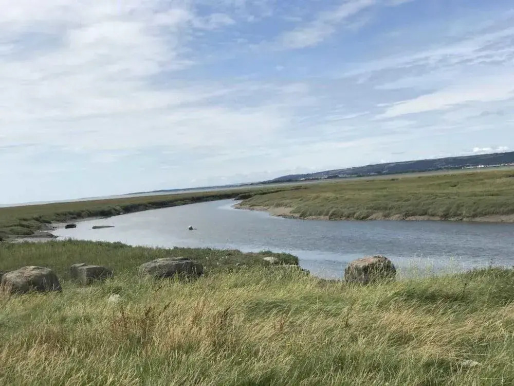 The Estuary Bar and Rooms