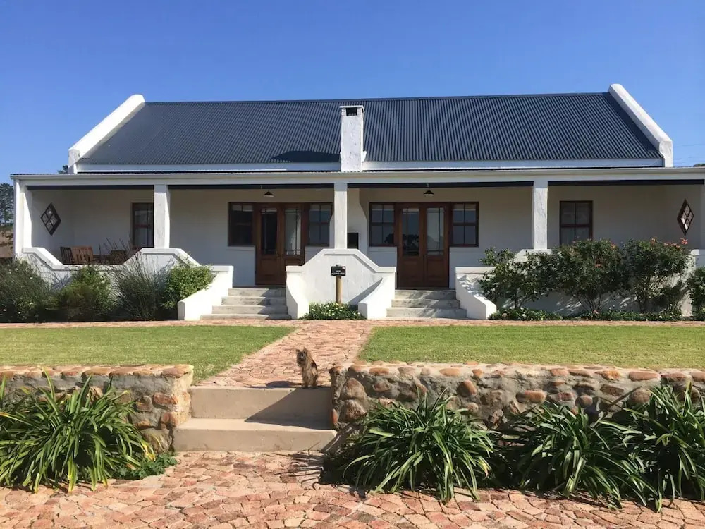 Endless Vineyards at Wildekrans Wine Estate