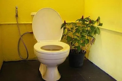 Dorm Des Fleurs