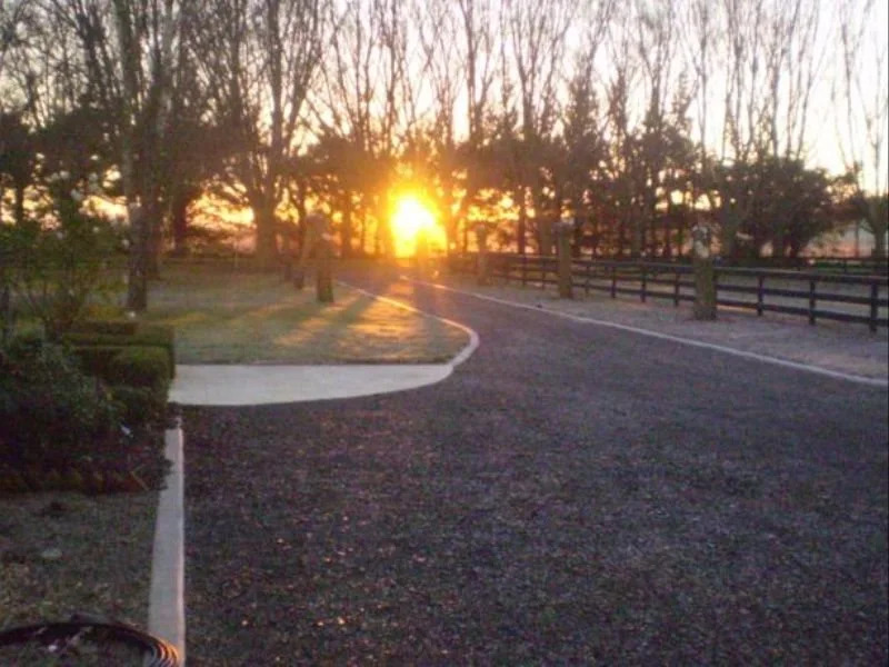 Willow Lodge B&B