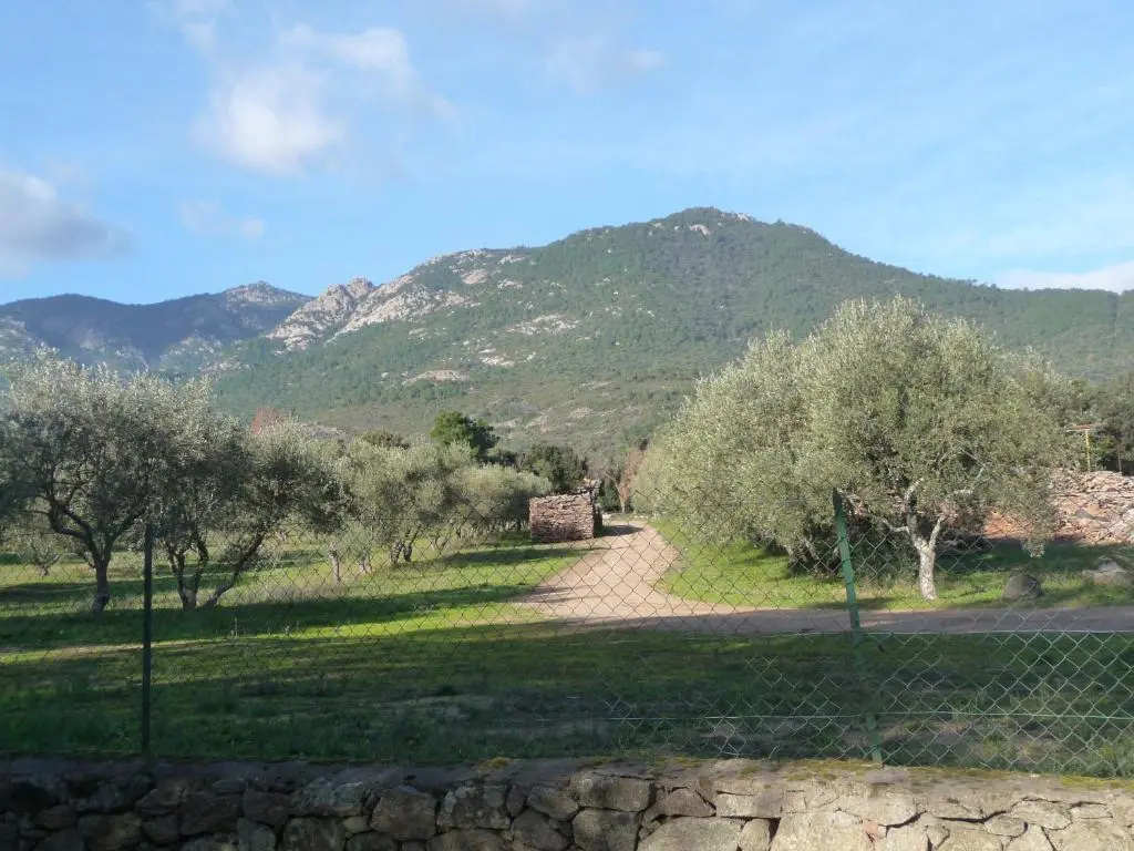 Carestella
