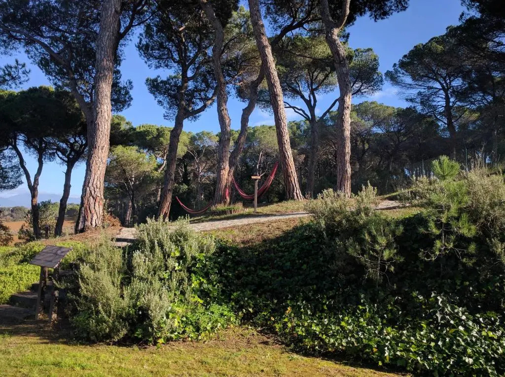 Augusta Barcelona Vallès