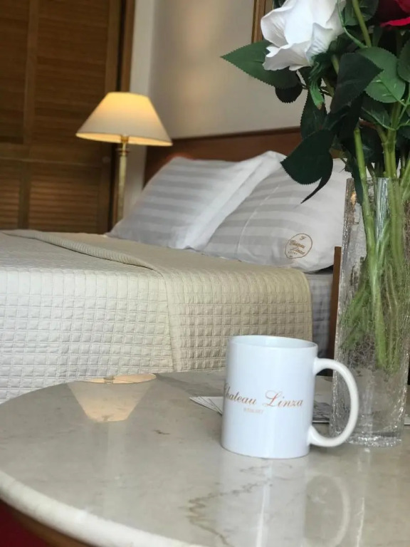 Chateau Linza Resort