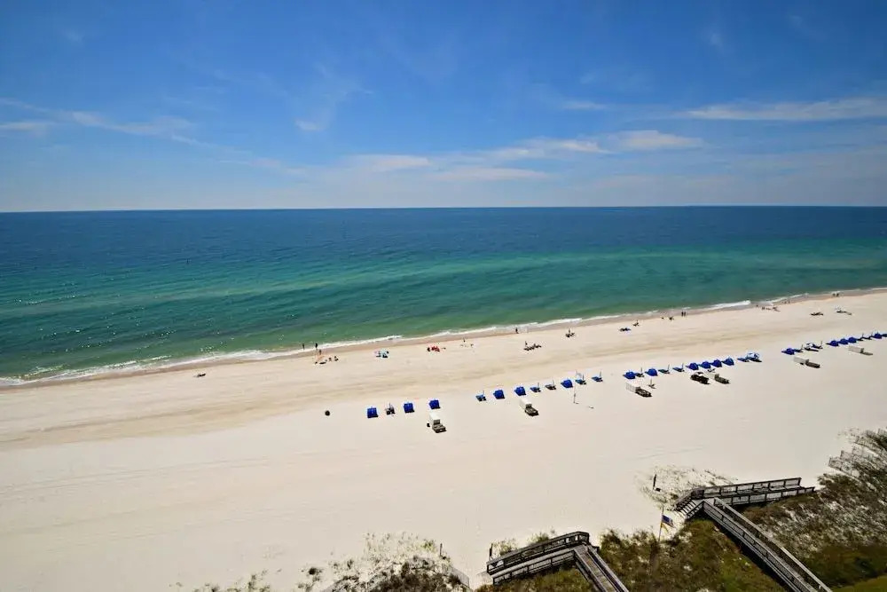 Tradewinds 1203 by RedAwning