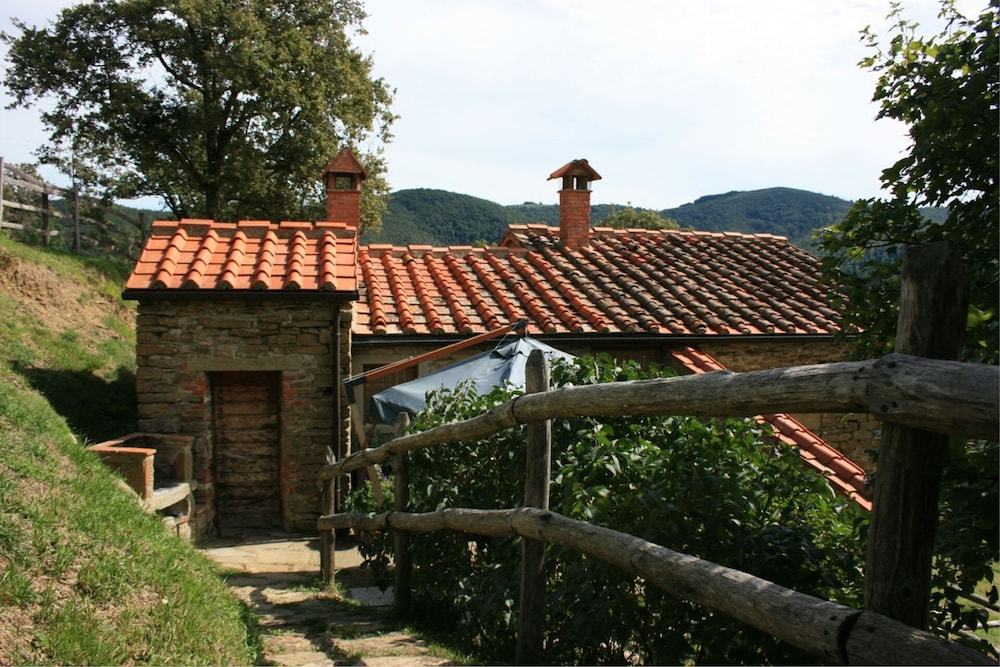 Tribbiano