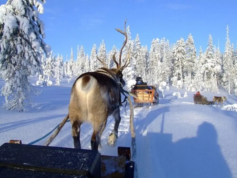 Holiday Club Salla Superior Apartments