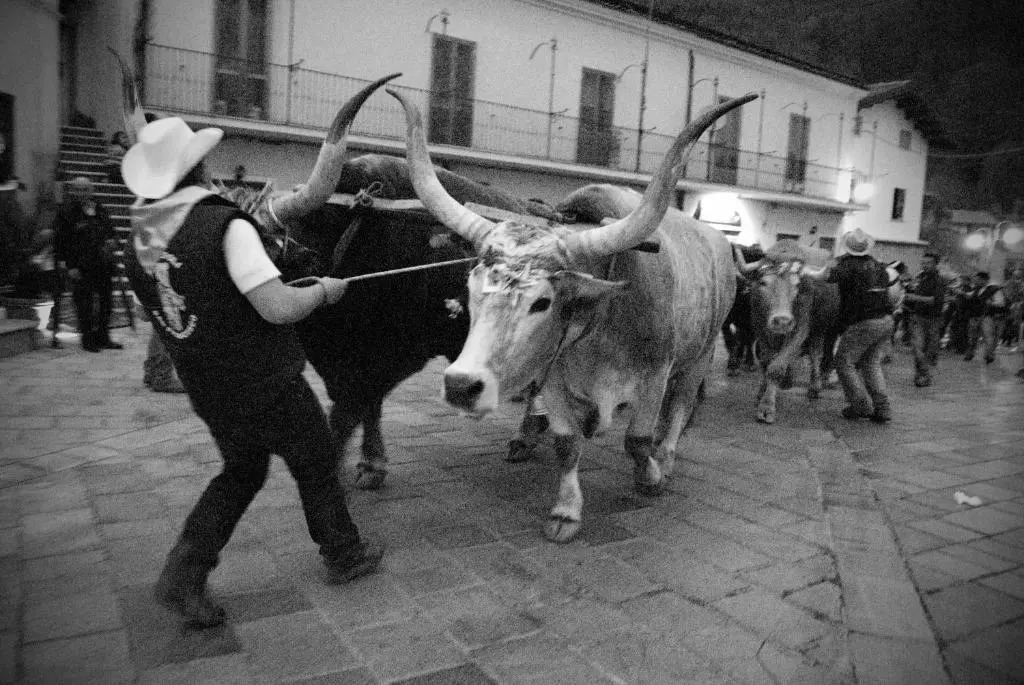Tana Libera Tutti 3 Nature, Yourself, Love