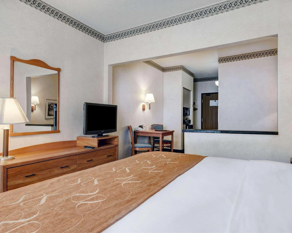 Comfort Suites University