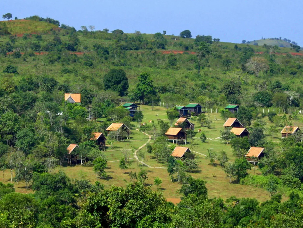 Nature Lodge
