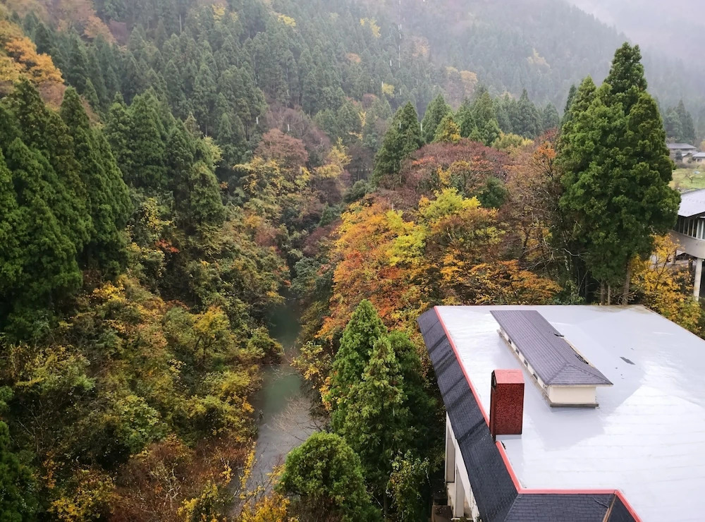 Yamanaka Onsen Hanatsubaki