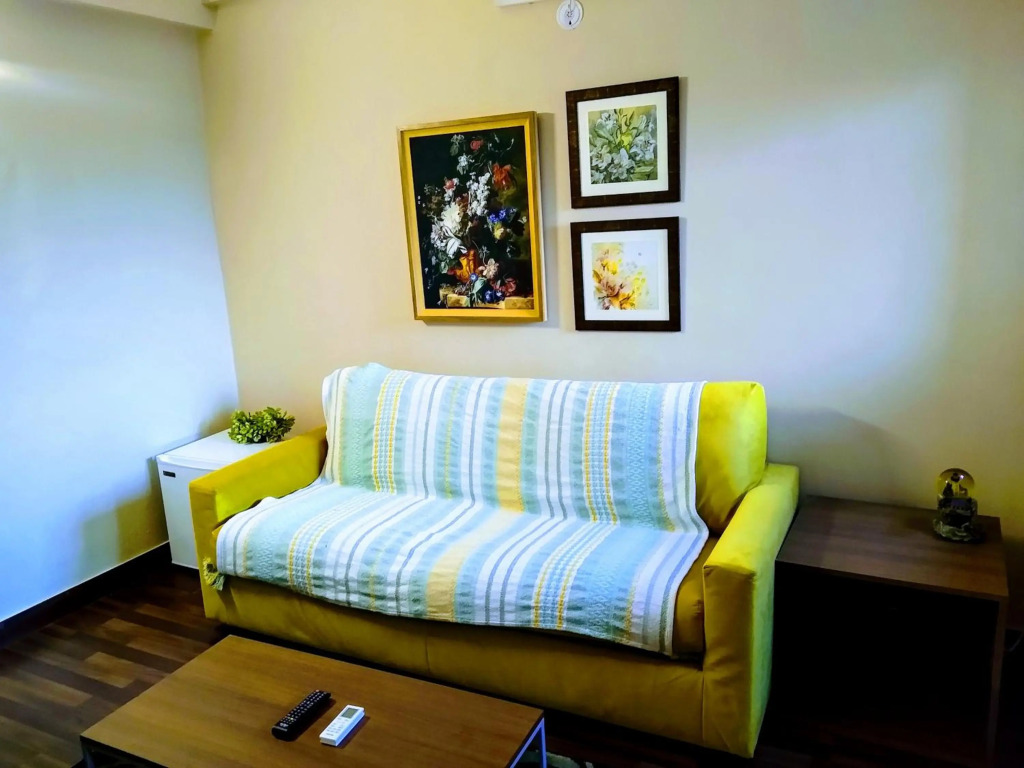 Luxurious Entire Suites/Studio Apt nearDelhi Noida