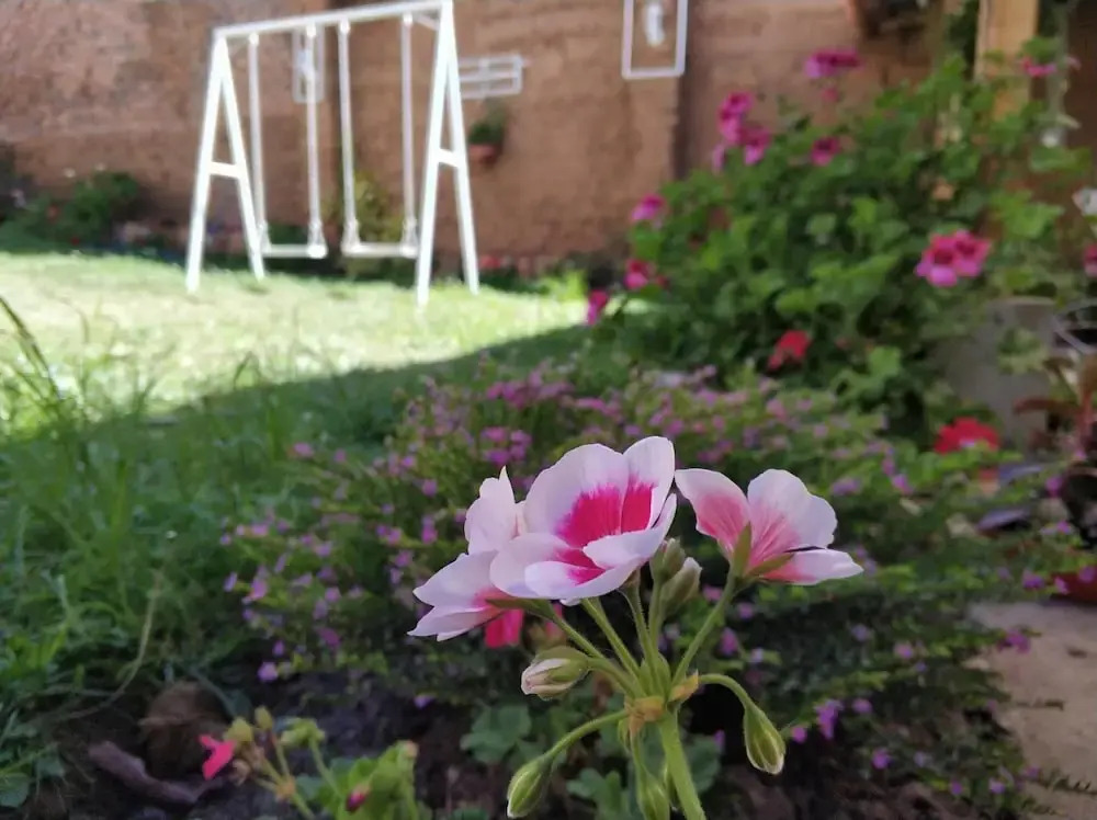 Casa Kuelap Hostal
