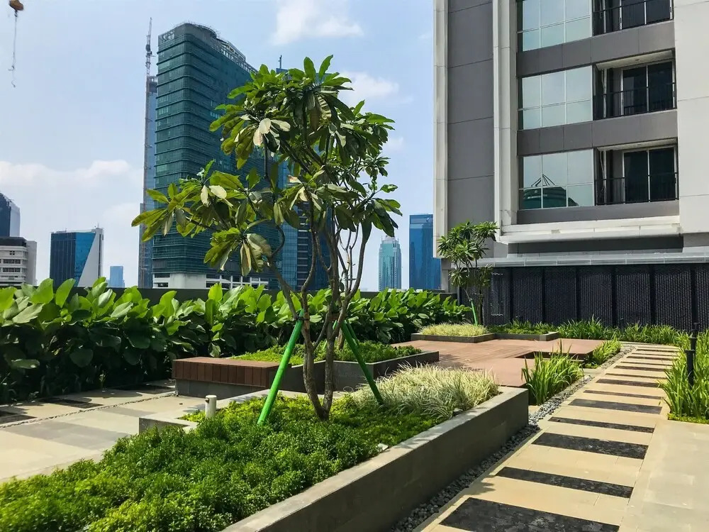 Comfortable 1BR at The Newton Ciputra World 2 Apartment