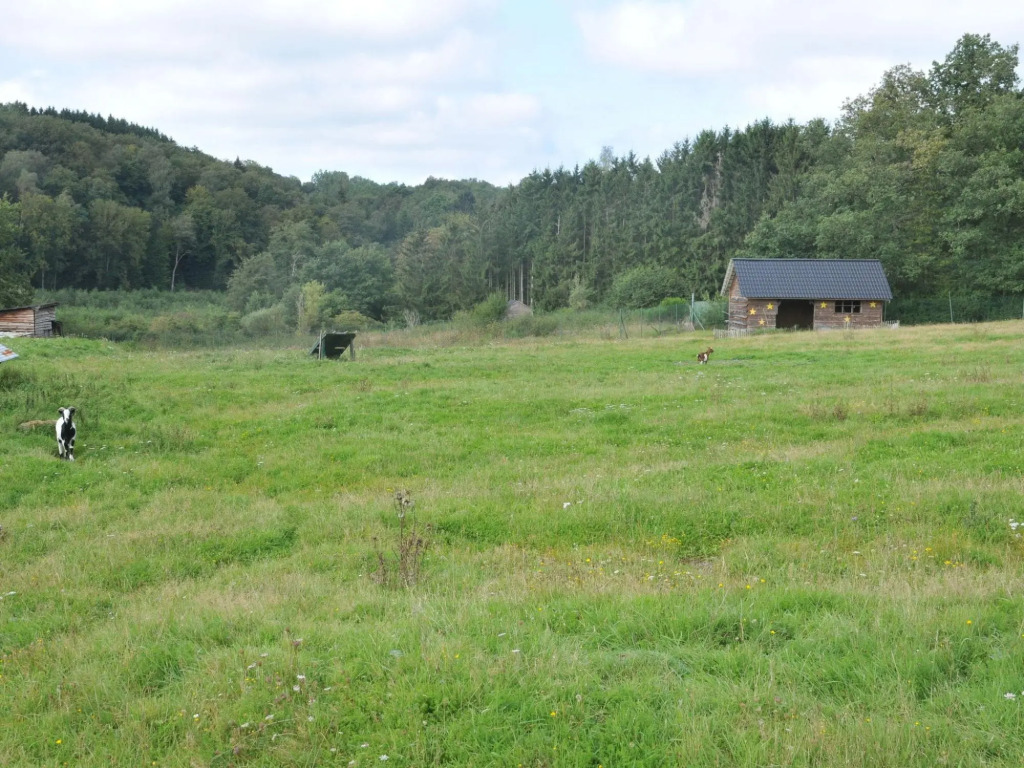 Modern cottage with microwave, 15 km from Durbuy