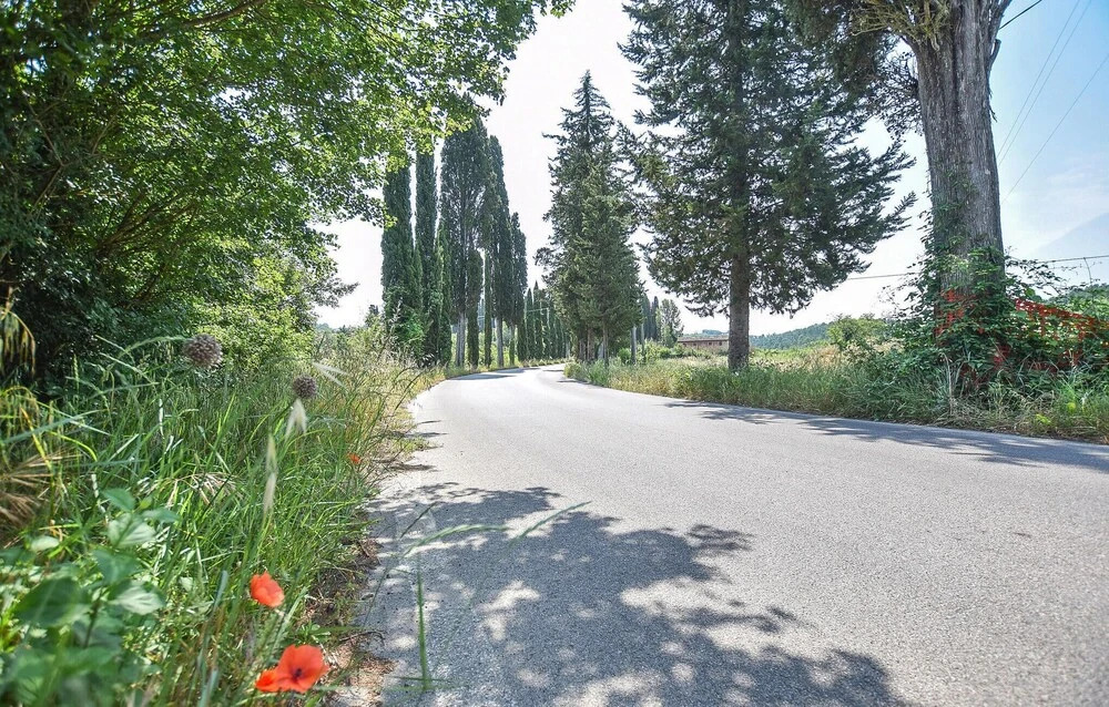 Awesome Home In Montefoscoli With Wifi