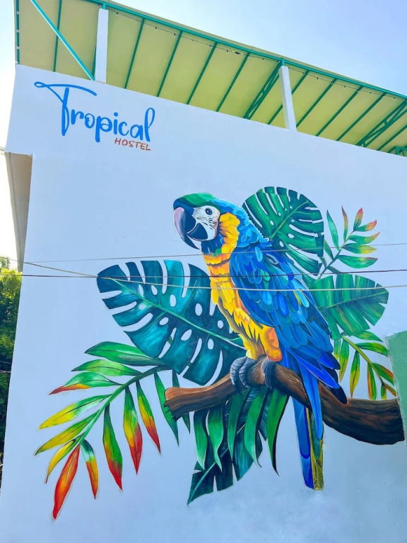 Tropical Hostel Santa Marta