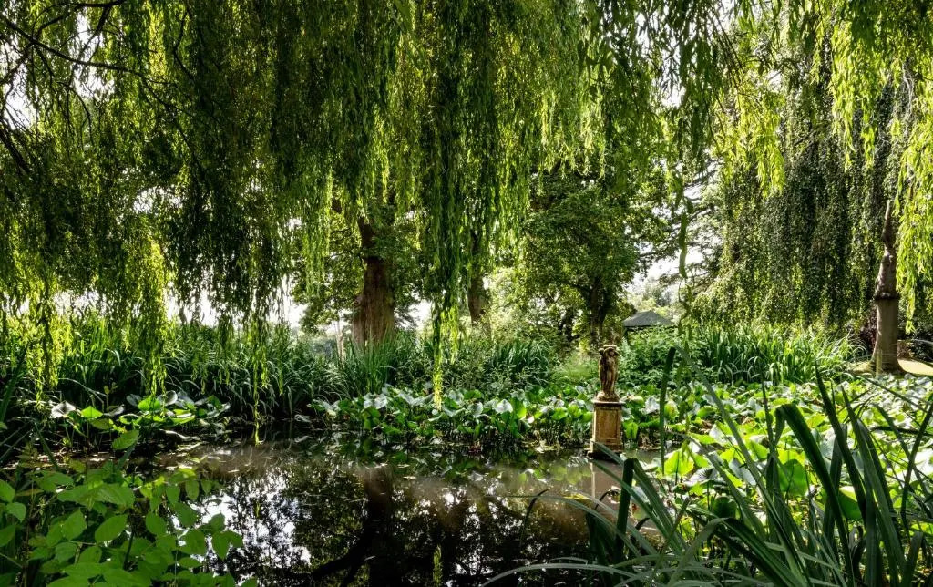 Rookery Hall Hotel & Spa