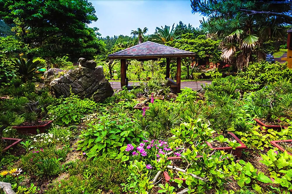 Seogwipo Log Village Pension