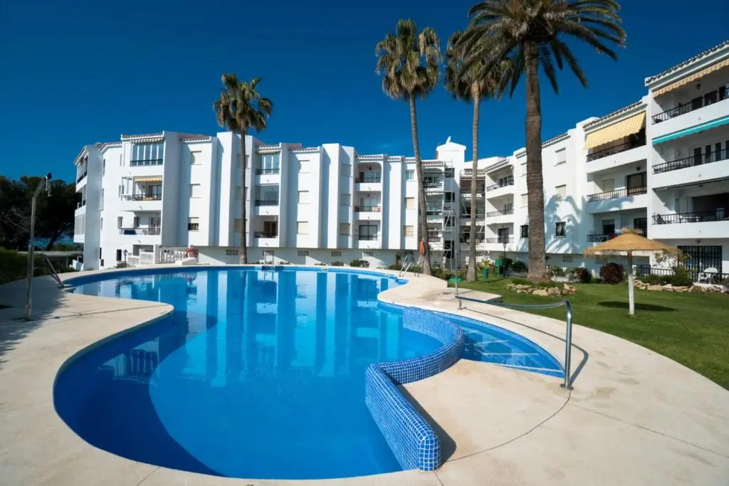 Palmeras 80 Menyber