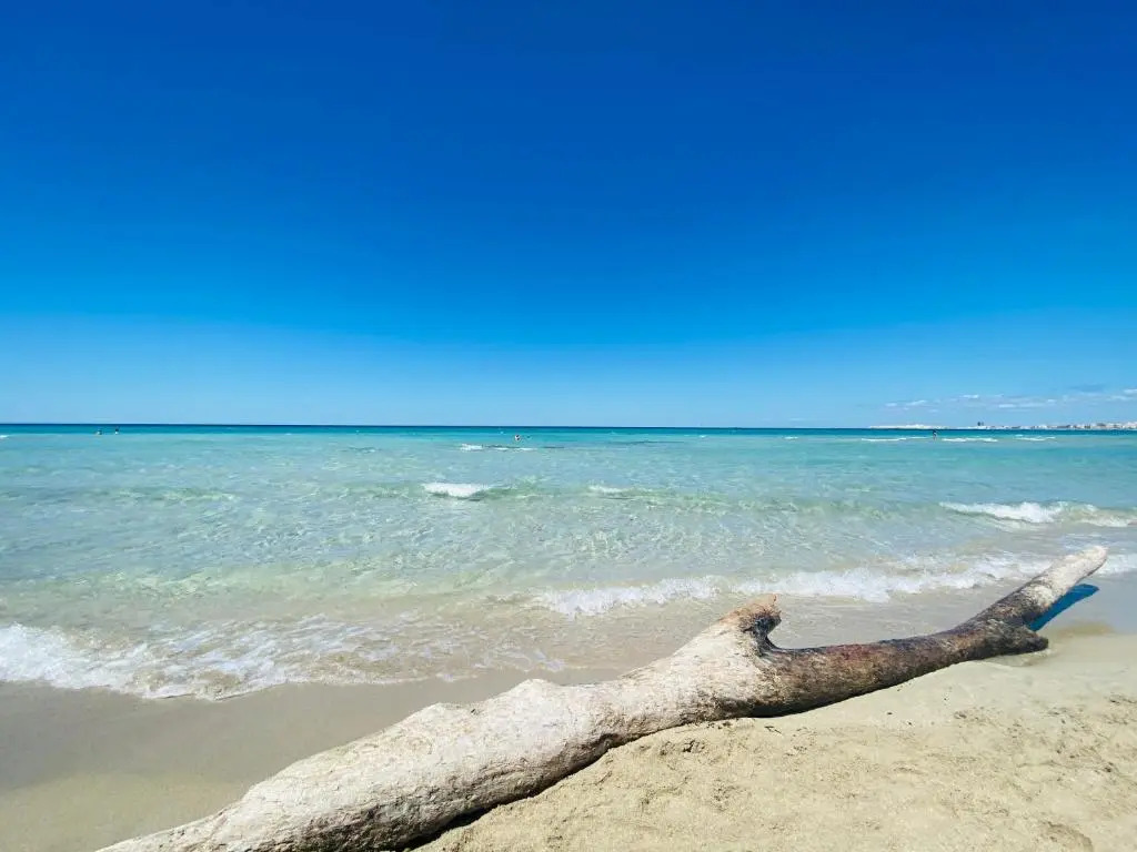 Villa Lucia con piscina privata a Gallipoli per 12 persone