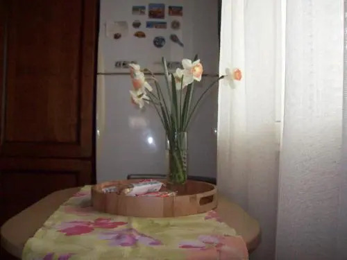 B&B Kazakova